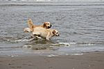 Vater Eyvan mit Tochter Tjara beim toben im Meer