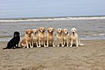 Gruppenfoto mit Freunden